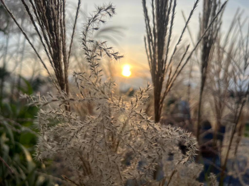 Moldzie Sunset- Dom Zachod Slonca Spa מראה חיצוני תמונה